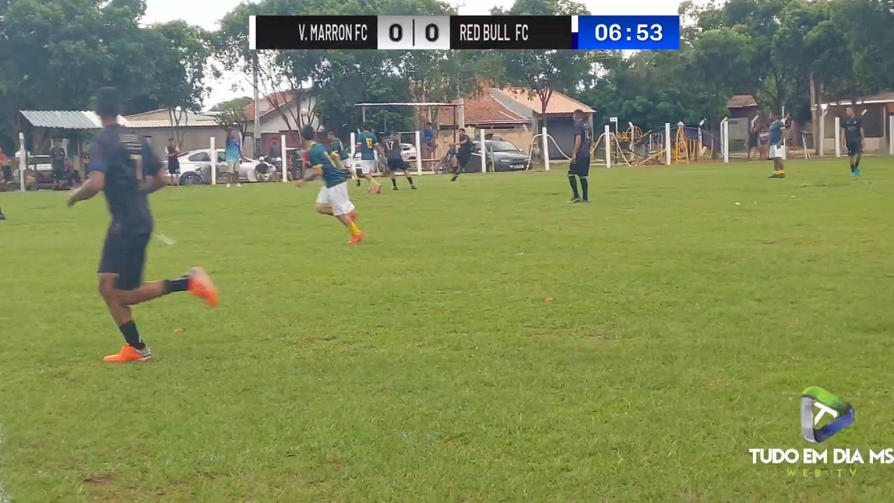 Transmissão ao vivo de Tudo em dia MS