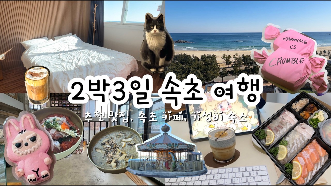 속초여행은 이 코스대로~😎 2박3일 속초 여행- 가성비 숙소 추천, 속초 맛집, 속초 카페