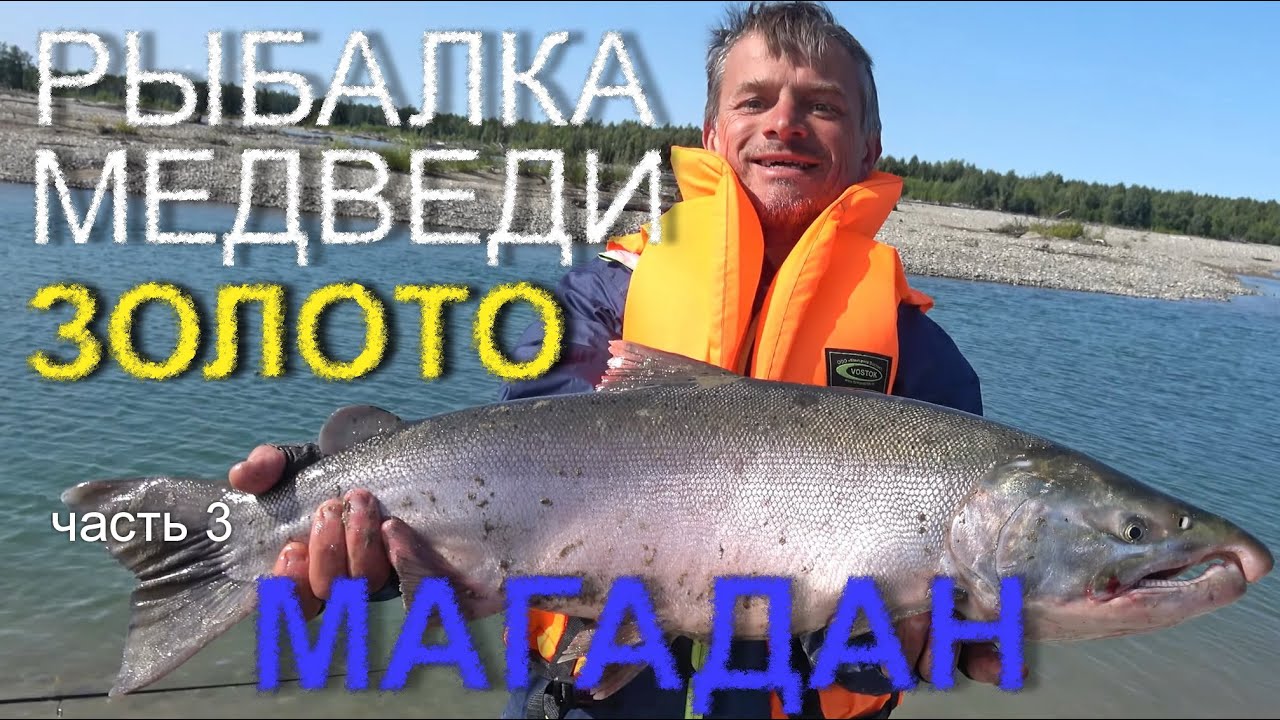 РЫБАЛКА УДАЛАСЬ, ловим кижуча, кету и гольца. Снова медведи в Магадане. Часть 3.