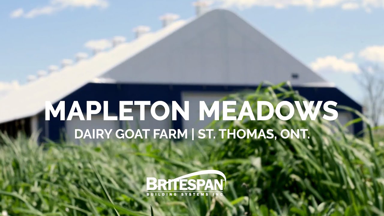 Отзыв о ферме Mapleton Meadows — Козий сарай Epic Britespan Dairy