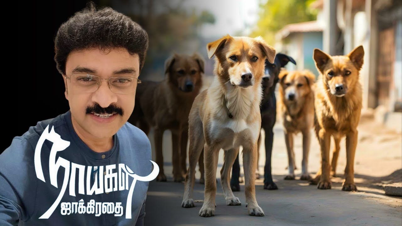 INDIA'S GONE TO THE DOGS
