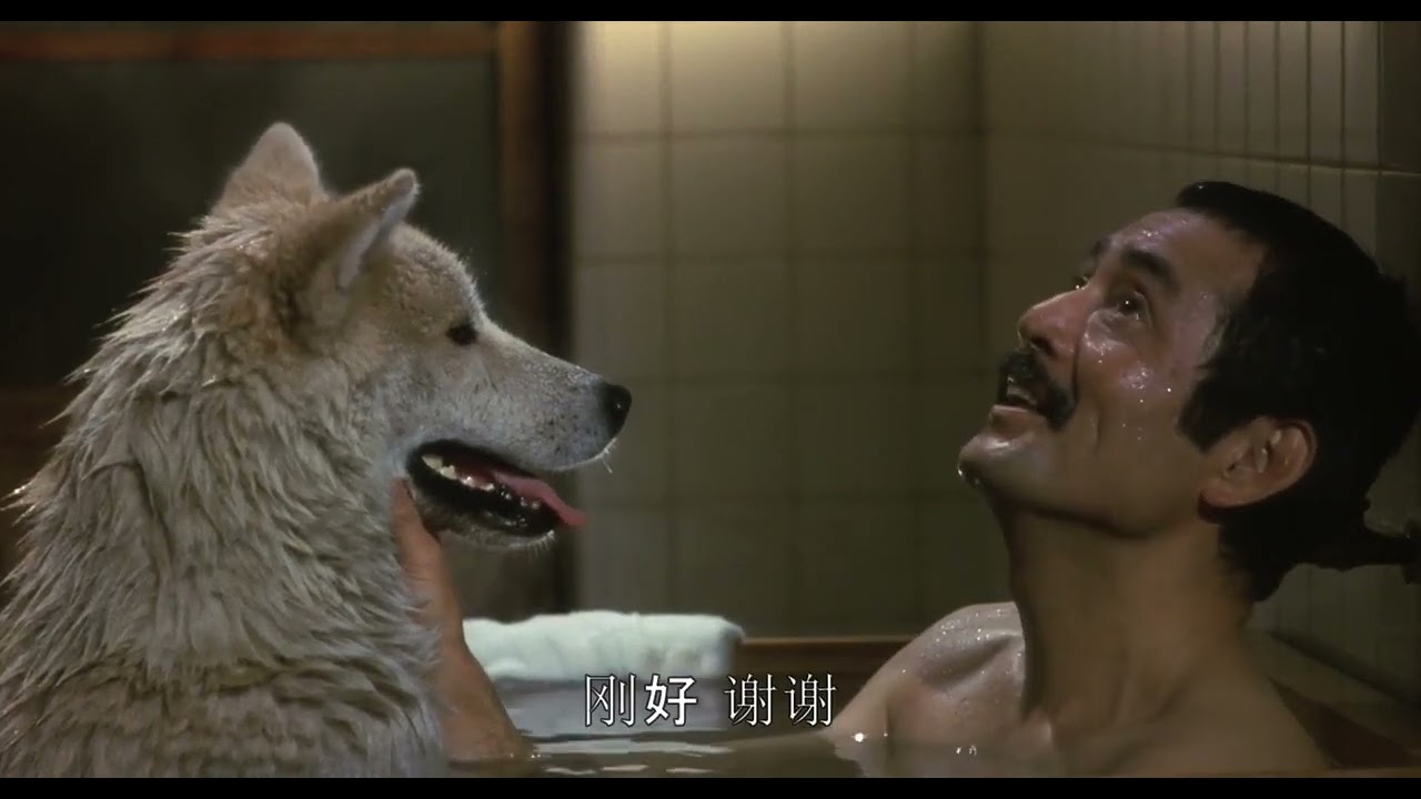忠犬八公物语 日本 1987