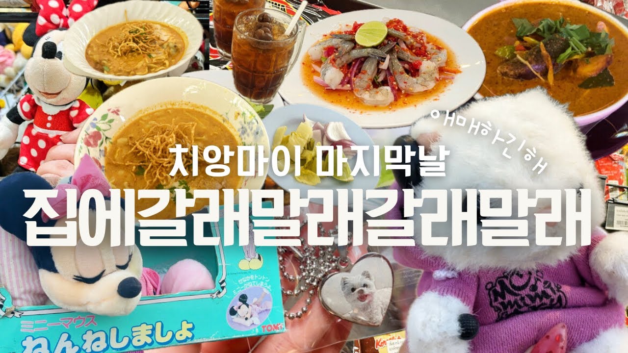 치앙마이브이로그 마지막날 | 현지인 카오소이맛집 쏨땀맛집 원님만 마야몰 치앙마이대학교야시장 얌뿌맛쨋욧 카오소이쿤야이
