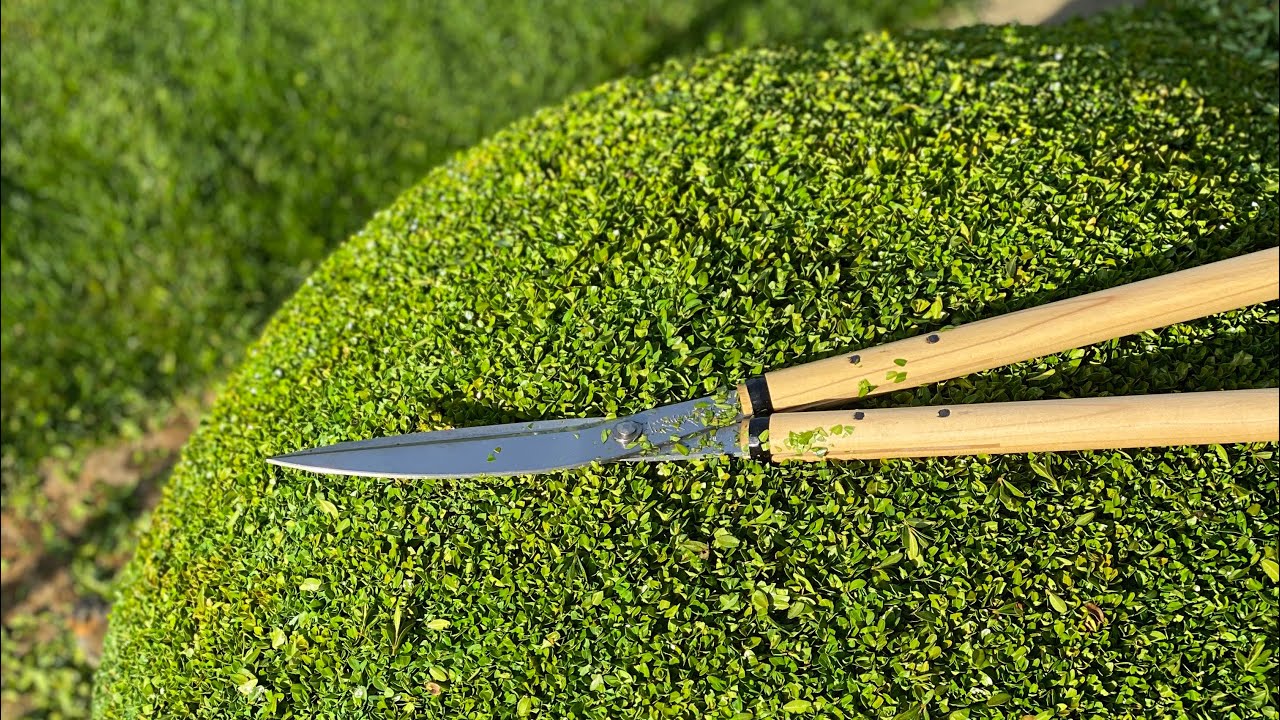 NIWAKI TOBISHO SHEARS
