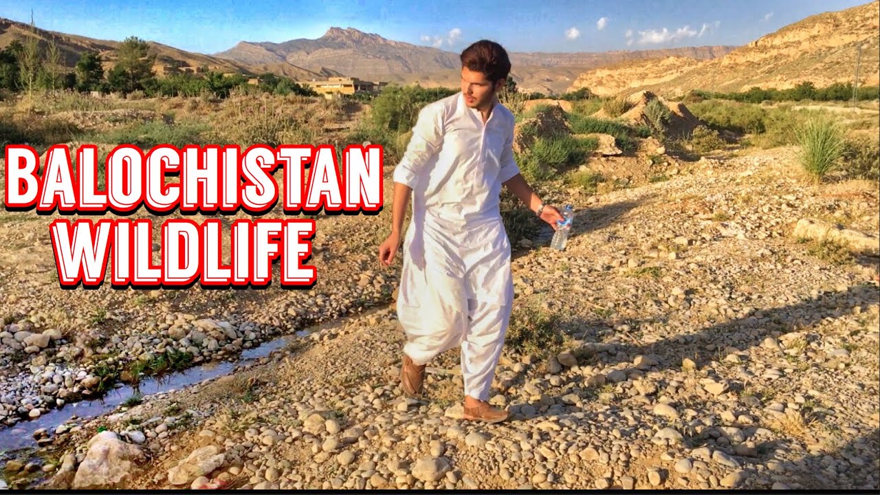 Discovering the hidden mountains of Balochistan❤️