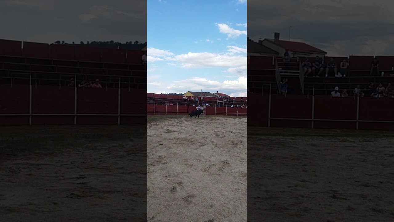 salto toro bravo renedo Esgueva 