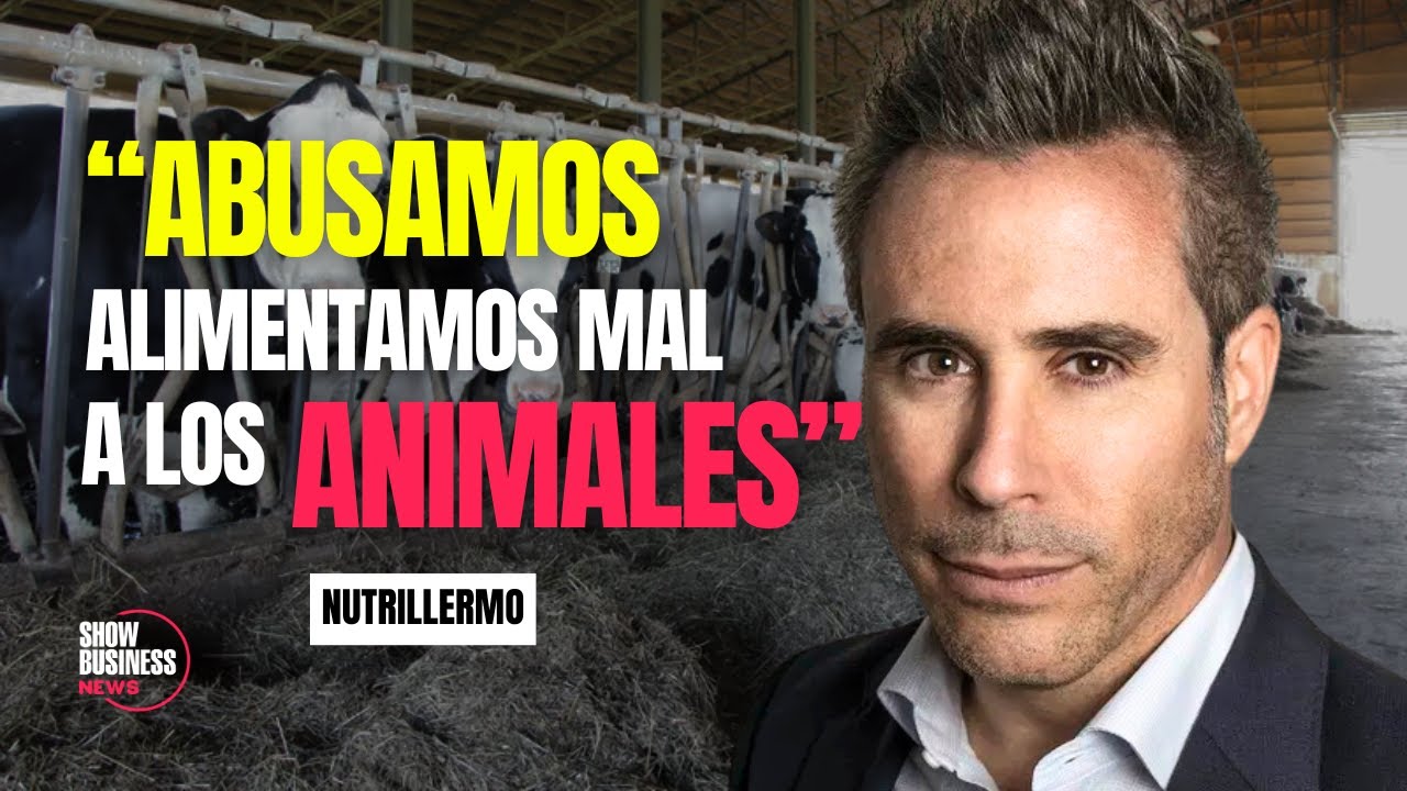 NUTRILLERMO | lo que nadie te dice sobre adelgazar, el azúcar y la alimentación