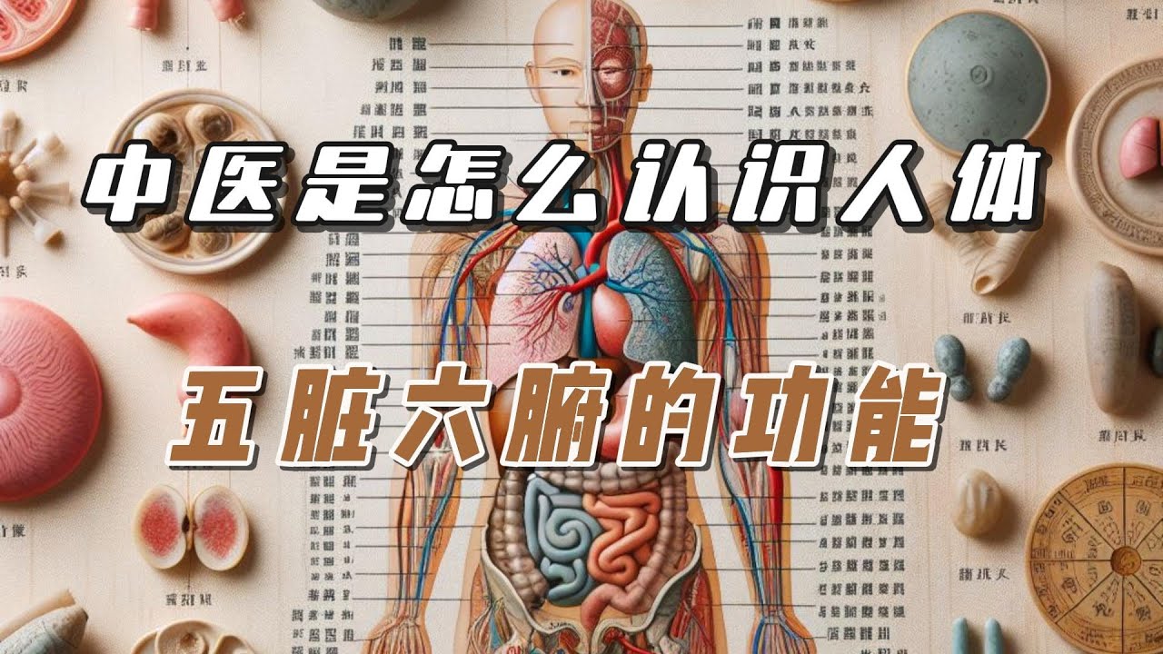 中医是怎么认识人体|五脏六腑的功能