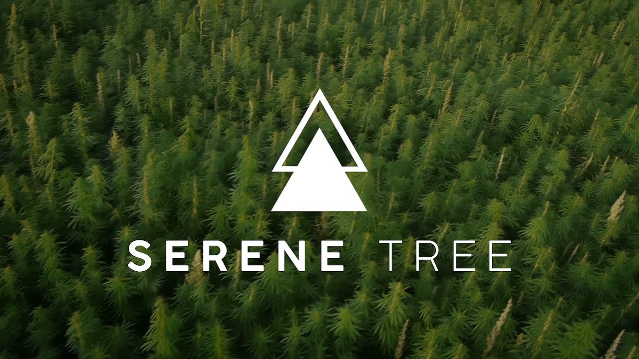 Serene Tree Brand Video