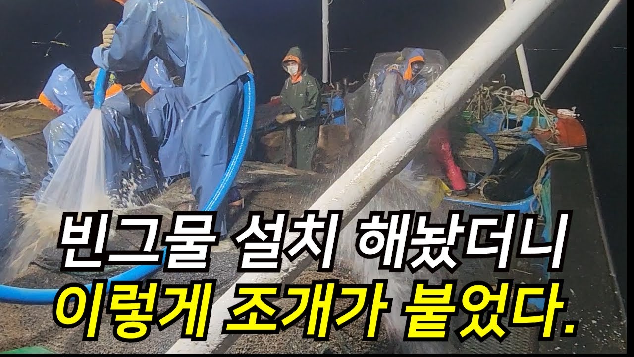 바다에 빈 그물을 설치 해놨더니 꼬막이 붙었어요!! 직접 현장에 가봤습니다.