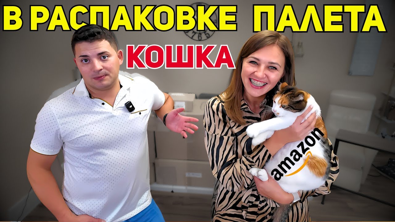 Кошка на распаковке. Мы купили целый палет с посылками. Не знаем что внутри.