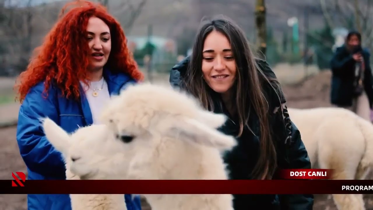 Müəllif | Real TV | 03.01.2026