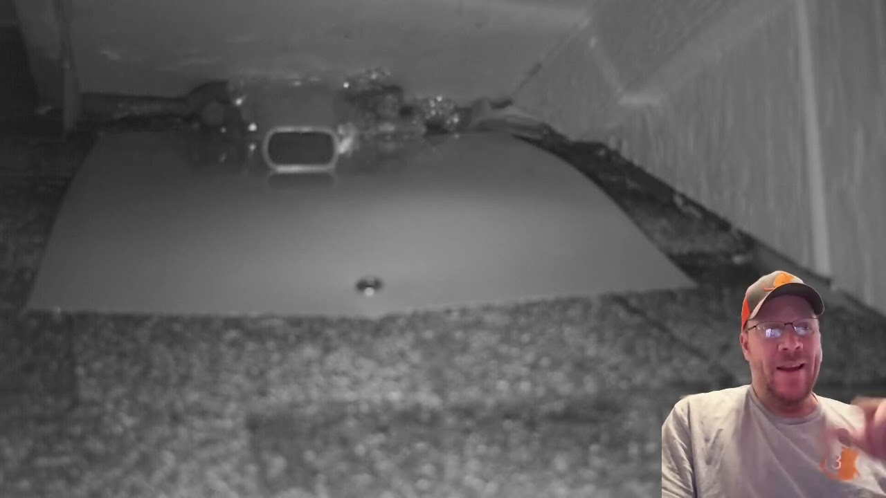 Bat Exclusion: How easy it is for bats to find their way back into your house!