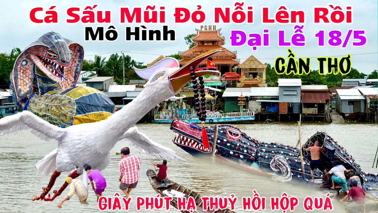 Cá Sấu Mũi Đỏ Mô Hình Nỗi Lên Rồi Mừng Đại Lễ 18/5/2025 giây phút hạ thuỷ hồi hộp bạch hạc quá khủng