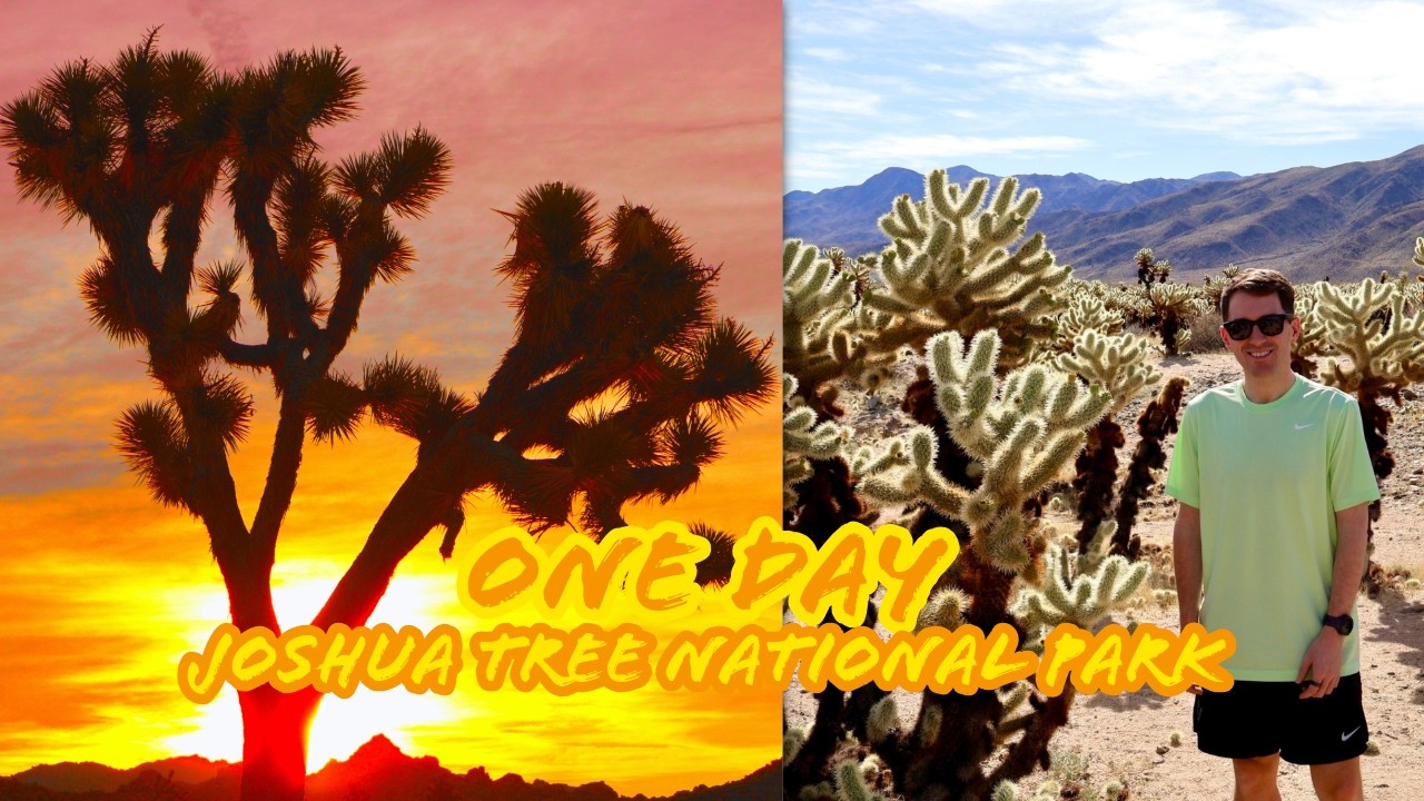 Joshua Tree National Park in ONE Day 🌵 The Perfect Itinerary (Ryan Mountain + Hidden Gems!)