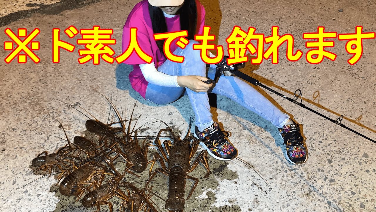 【素人】気持ちいいほど大量に釣れる伊勢海老釣り方を詳しく解説‼️