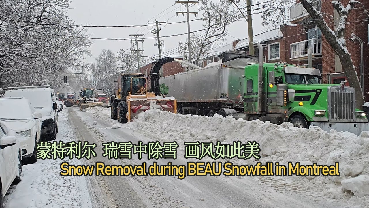 Snow Removal During Snowfall in Montreal 画风如此美 落雪中机械化除雪