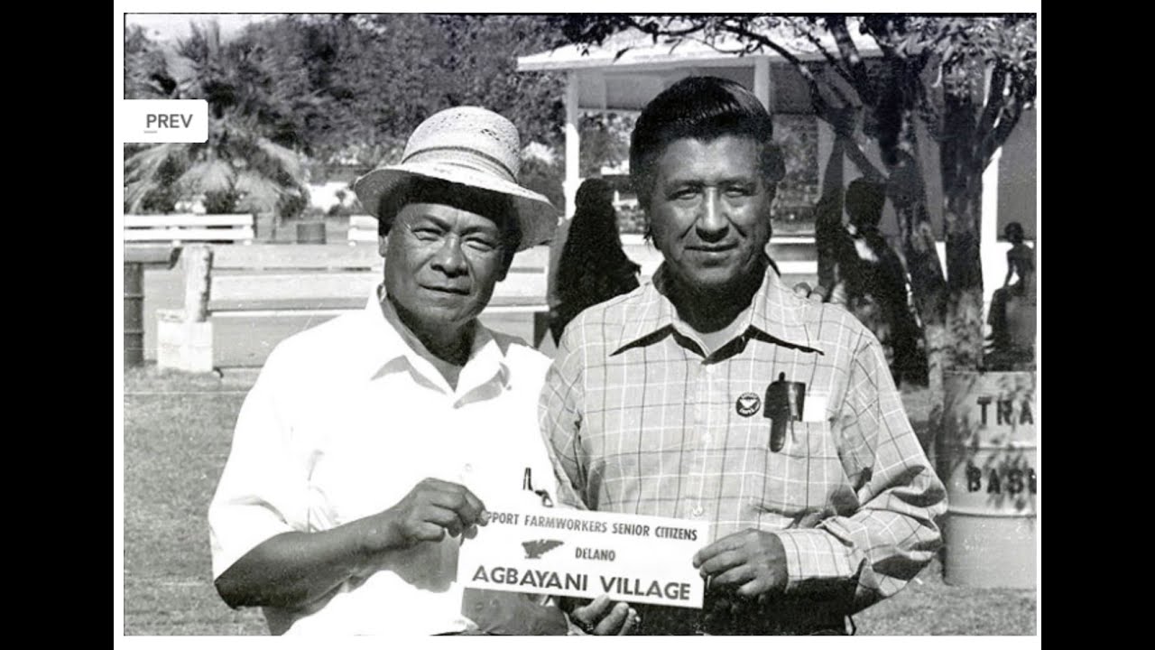 “5 Decades Later: The Aftermath of the Grape Strike” “5 Décadas después: lo que quedó de la huelga”