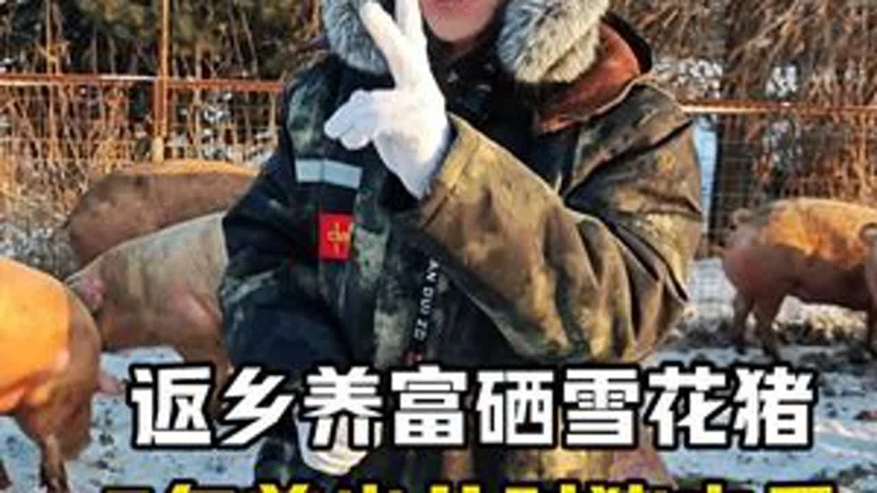 返乡养富硒雪花猪，5年养出儿时的猪肉香！ #土众豪笨养富硒猪肉 #土猪肉 #原生态养殖 #放心肉良心肉 #笨猪肉