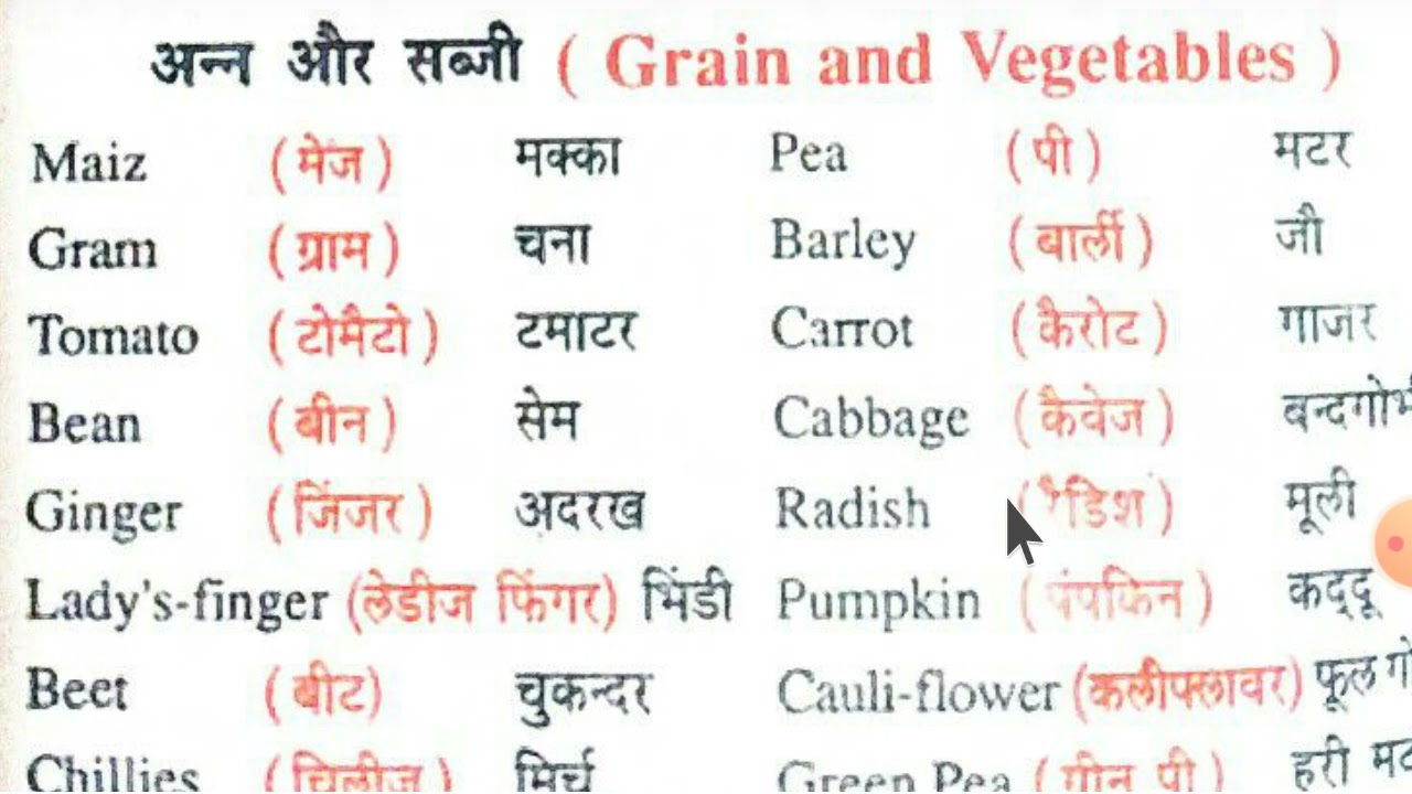 Animal/birds/ fruit/ dry-fruit/ grain/ vegetables/some important daily use words with pronunciation