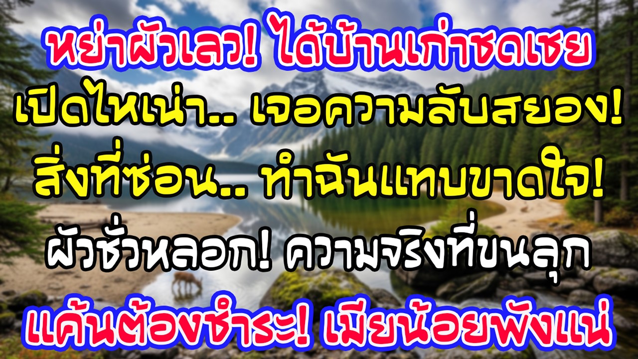หลังหย่าสามีนอกใจ ฉันได้บ้านต่างจังหวัดเป็นค่าชดเชย แต่เปิดไหดินเผาเก่าแล้วพบสิ่งที่ไม่คาดคิด…