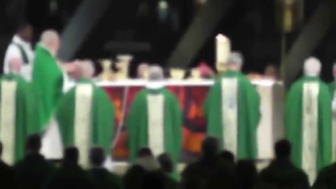 International Mass held - 12/07/15 & Walk to the  Grotto & Procession 13/07/15