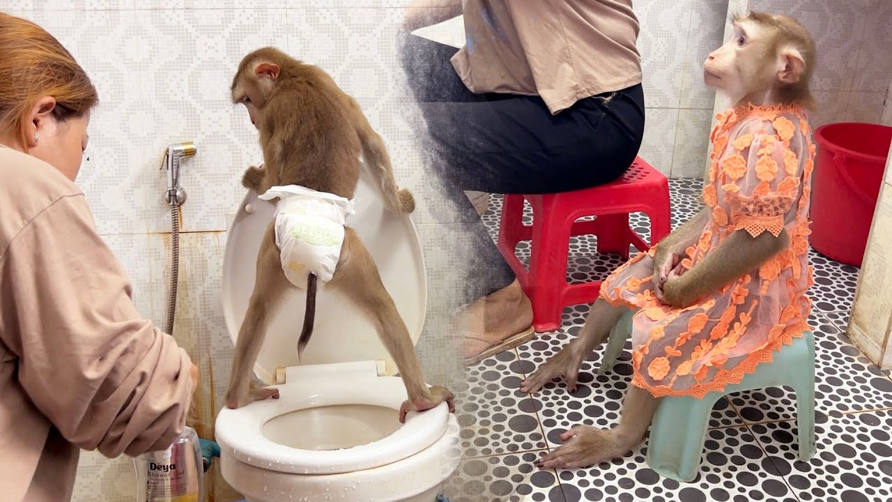 Skillful Judee Always Stun Mom With Her Smartness In Potty Train