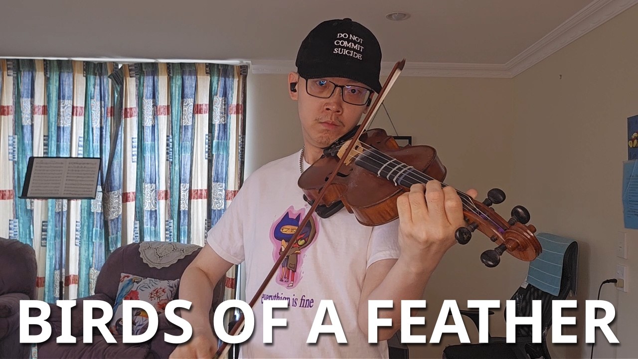 Billie Eilish - Birds of a Feather (Violin Cover)