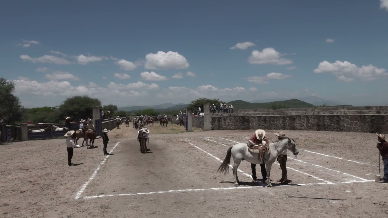 FERIA SAN JOAQUIN TECOZAUTLA HIDALGO 17 DE AGOSTO 2025 VL 6
