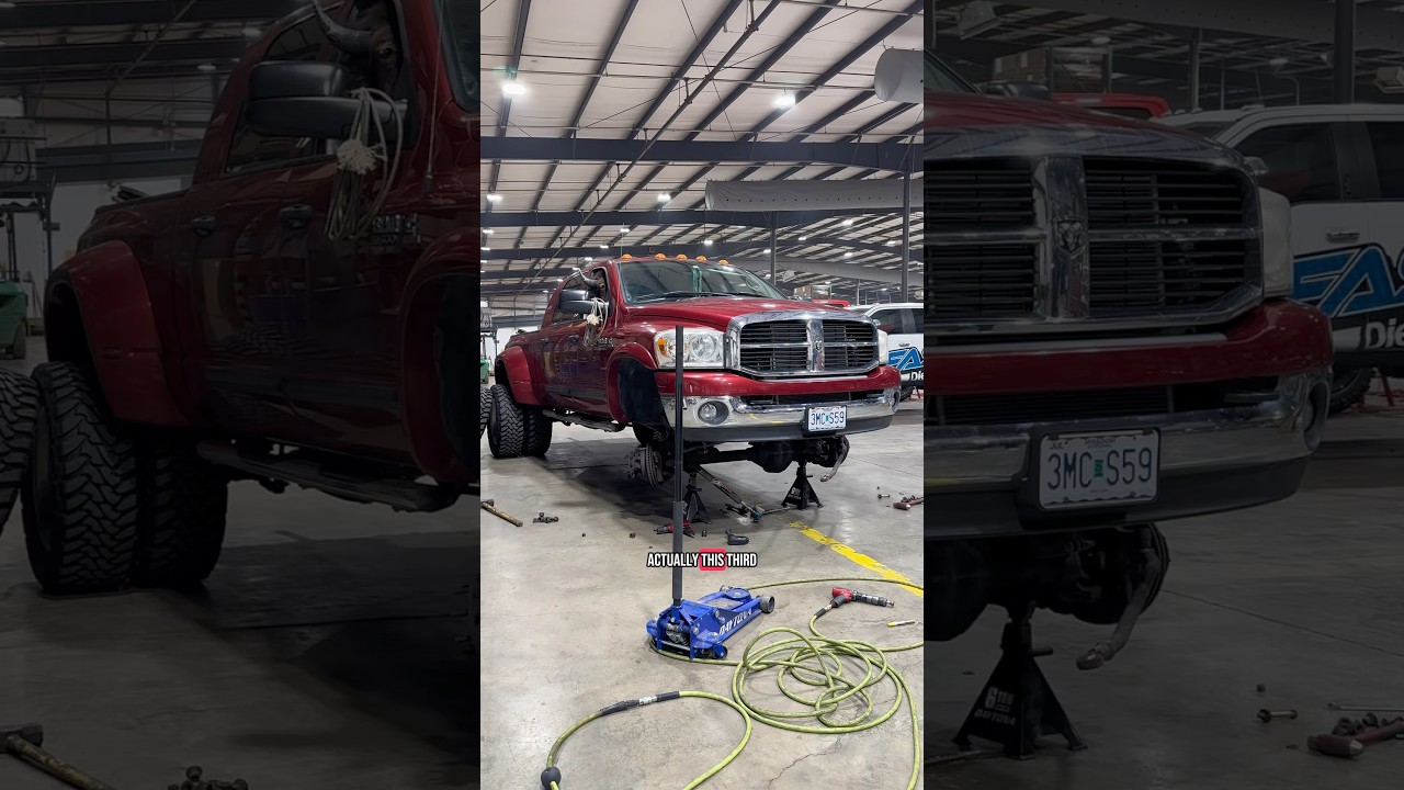 A massive 3rd Gen Mega Cab with a surprise passenger stopped by today&hellip;🐂