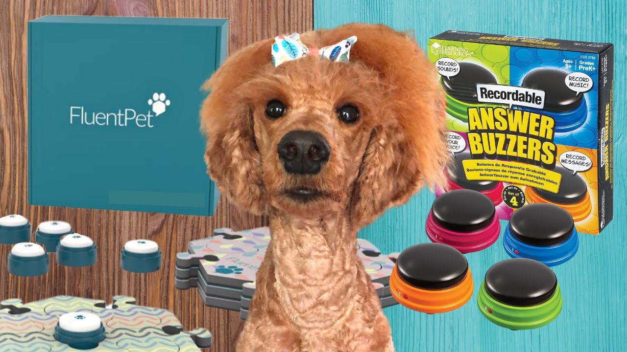 Fluent Pet Buttons VS Learning Resources | Review | Talking Pet Buttons | Dog buttons training