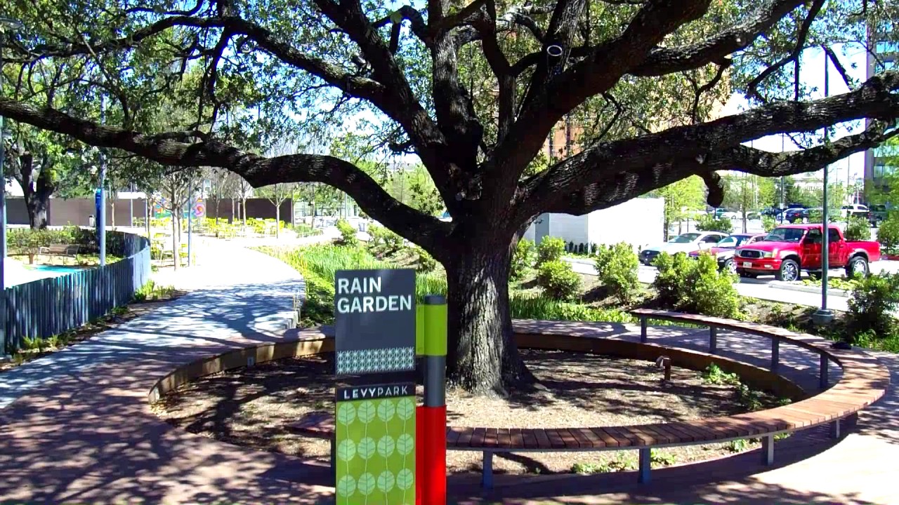Levy Park