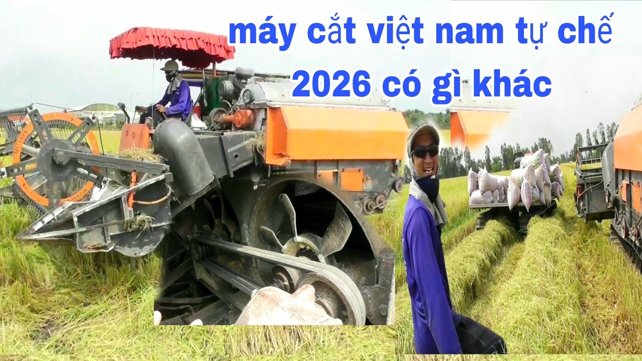 QUAY CẬN CẢNH MÁY CẮT LÚA VIỆT NAM TỰ CHẾ RA ĐỒNG 2026 CÓ GÌ KHÁC