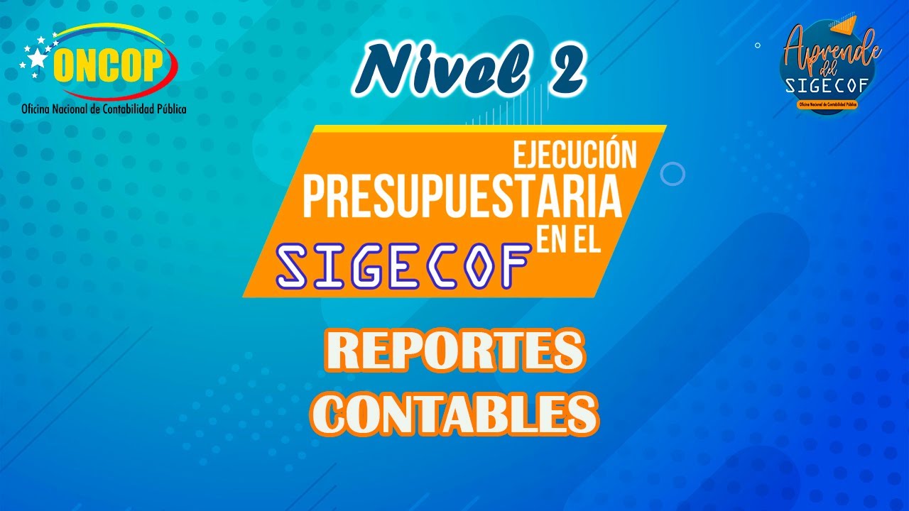 Reportes Contables.