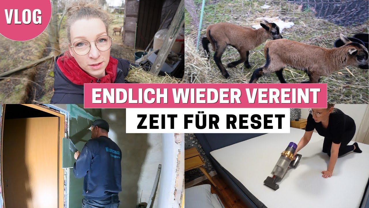 Wiedervereinigung der Schafe 🐑 | Badsanierung | Weihnachtsdeko kommt weg 👍
