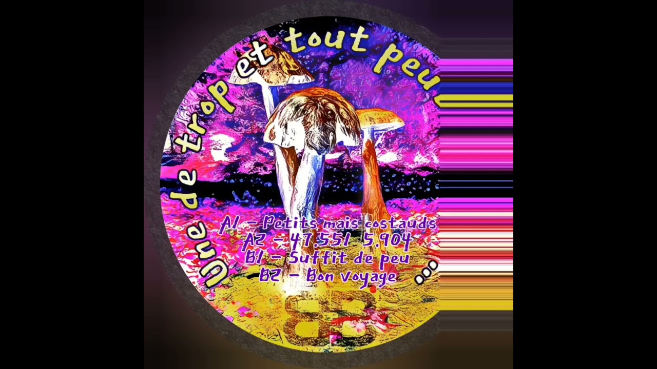 BEBERT 01 - BEBERT BROTHERS - B2 -  BON VOYAGE