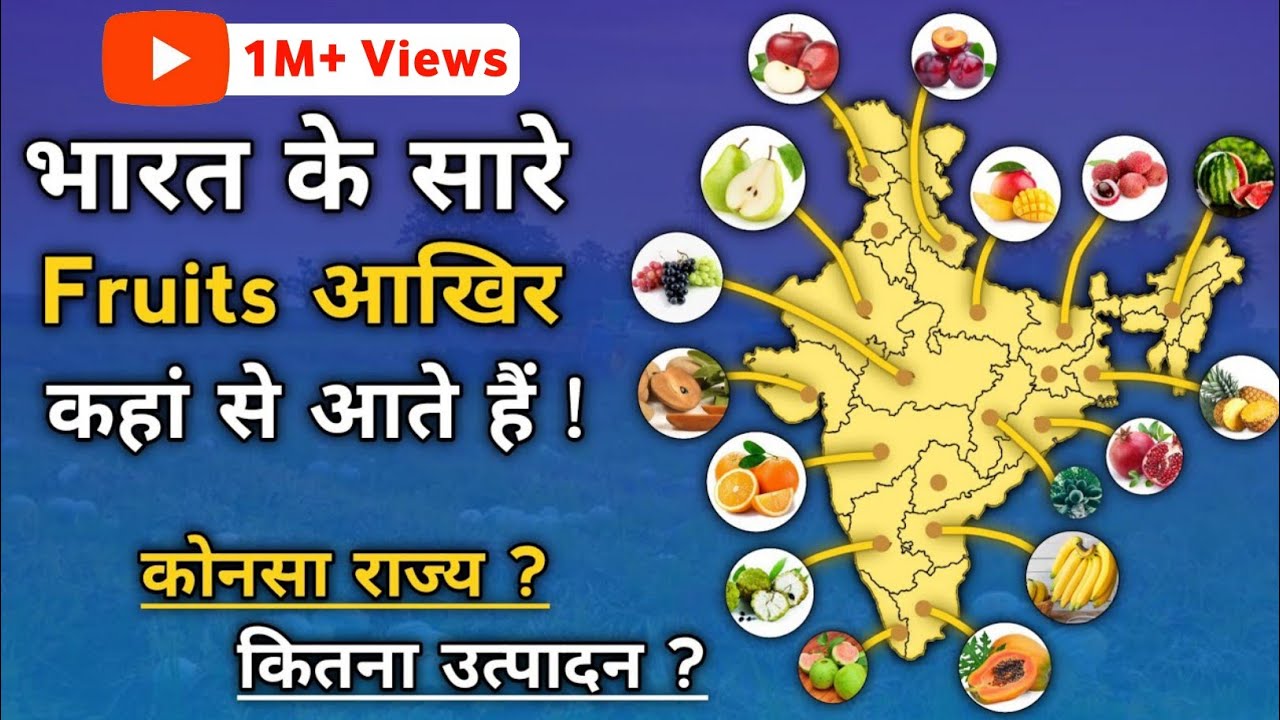 Fruit Production in India | Top Fruit Producing State in india | Where Our Fruits Come From In India