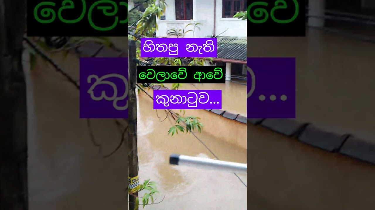 මමත් මුහුන දුන්නා දරුනු ඉඩෝරයට...#trending #100millon 