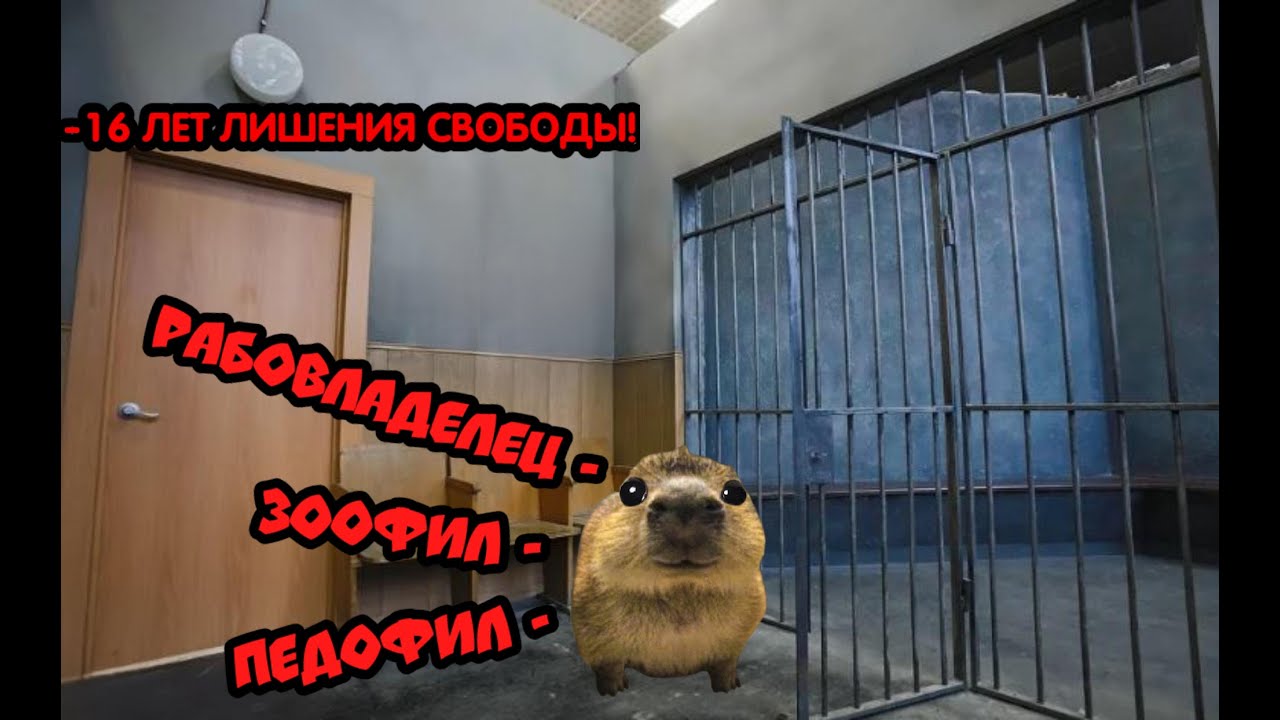 Разоблачение на Пашу Капибарди