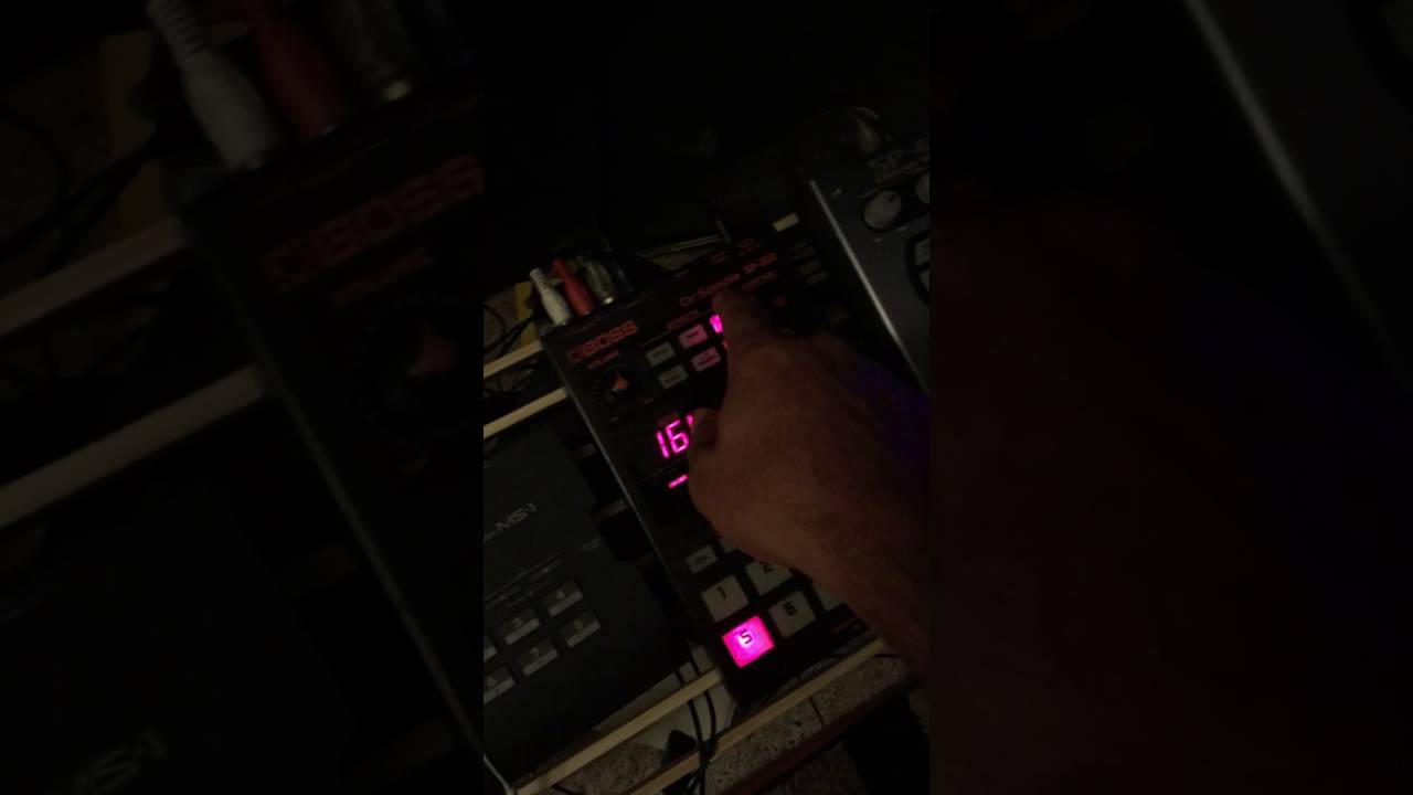 Roland ms1 boss sp 202