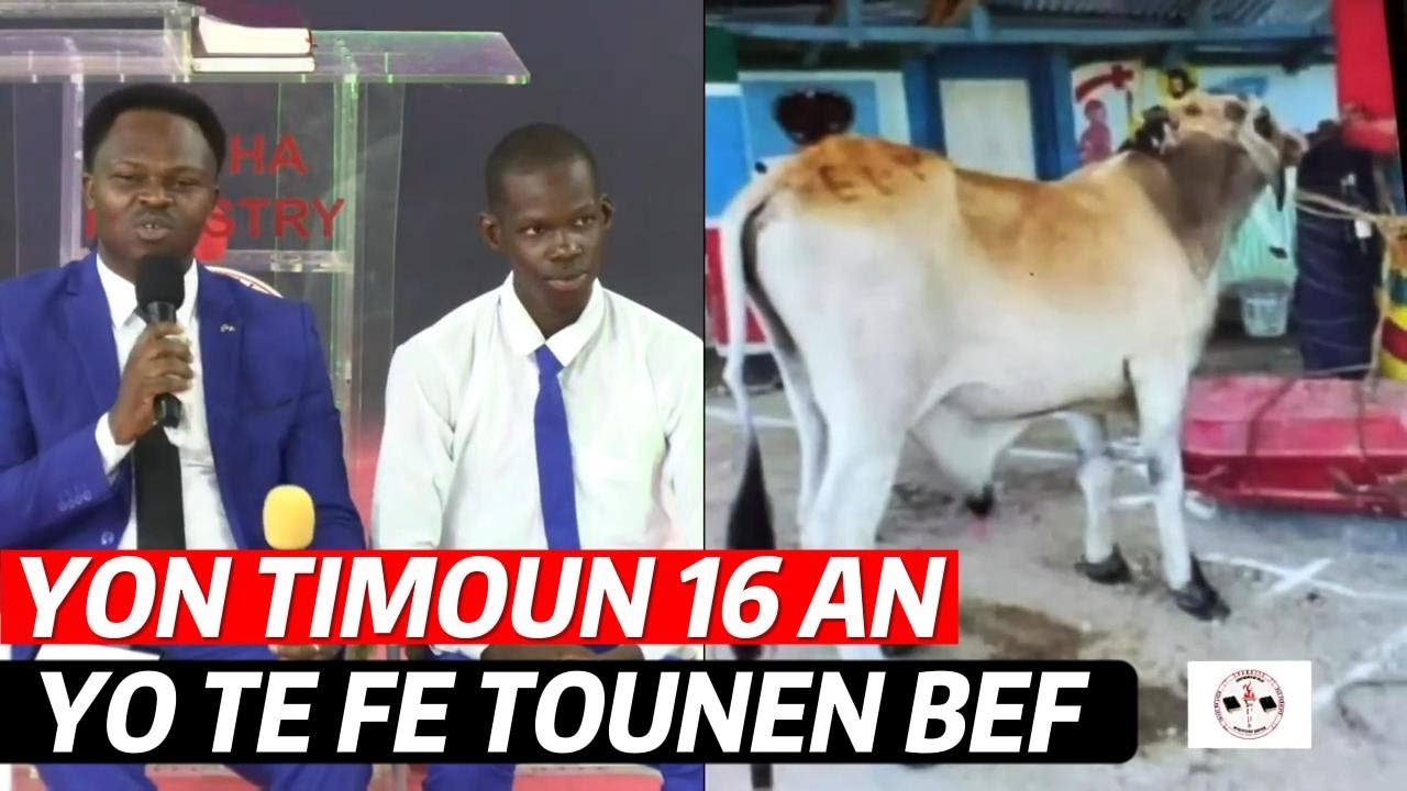 YON BOKO FE YON TIMOUN 16 AN TOUNEN YON GWO TOWO BEF - MALFEKTE PA JWE