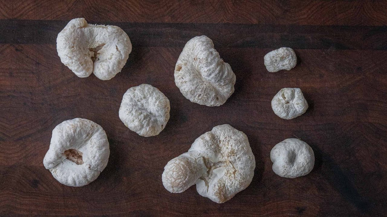 Поиск и приготовление лесной креветки (Entoloma abortivum)