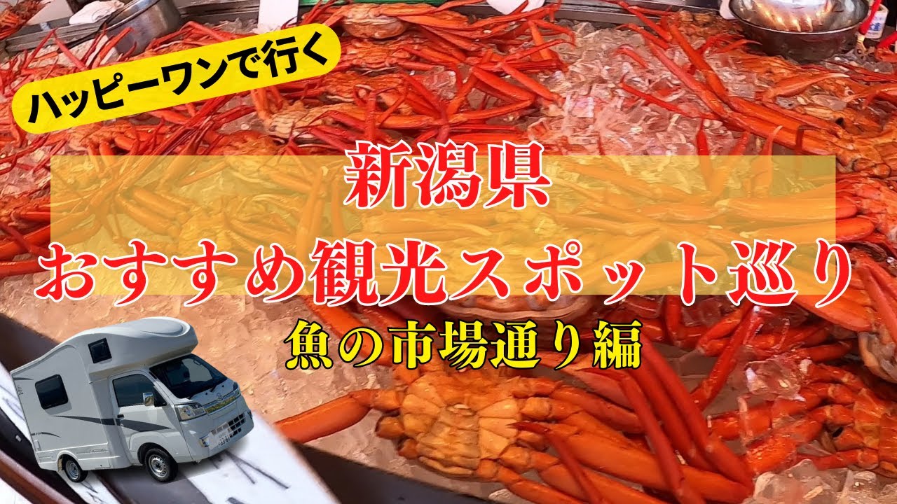 新潟県の観光おすすめ巡り|長岡市魚の市場通り編|軽キャンHAPPY1で愛犬とわくわく旅vol.1