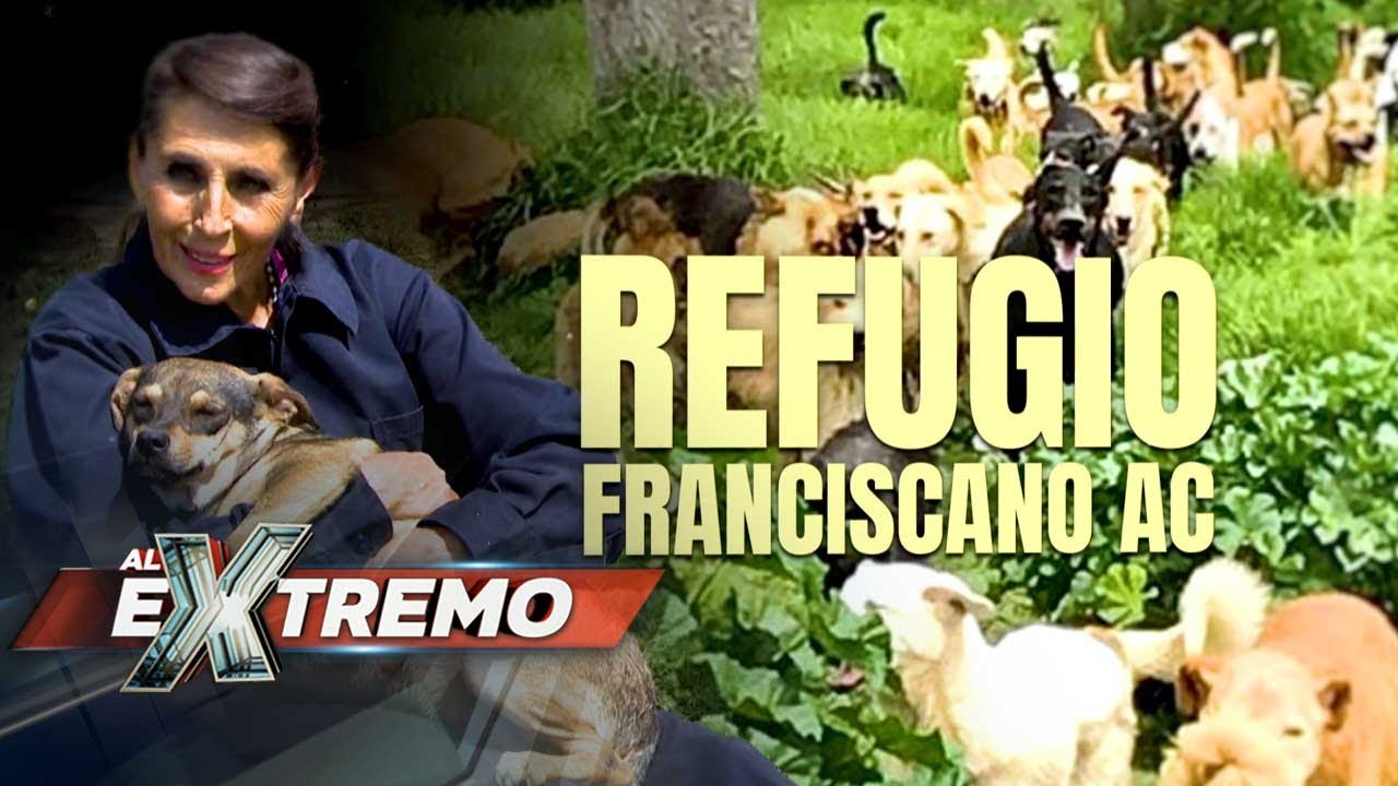 Este refugio necesita de tu ayuda, ya que más de 1,500 perritos están en peligro. | Al Extremo