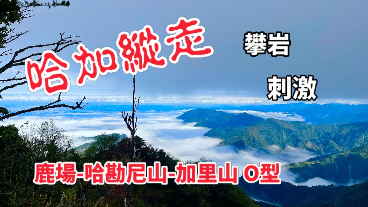 哈加縱走(鹿場-哈勘尼-加里山O型)步道完整記錄