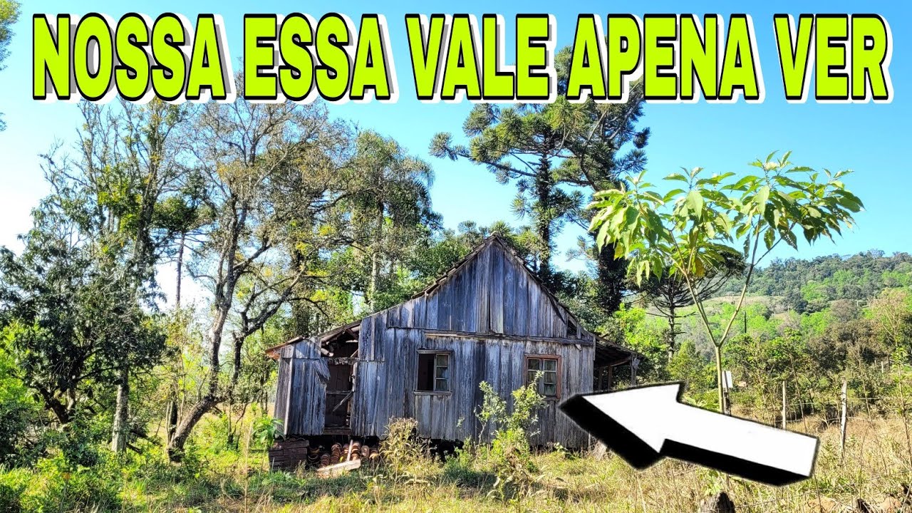 UM DETALHE DESSE SÍTIO COM ESSA CASA ABANDONADA VAI TE SUPRRENDER