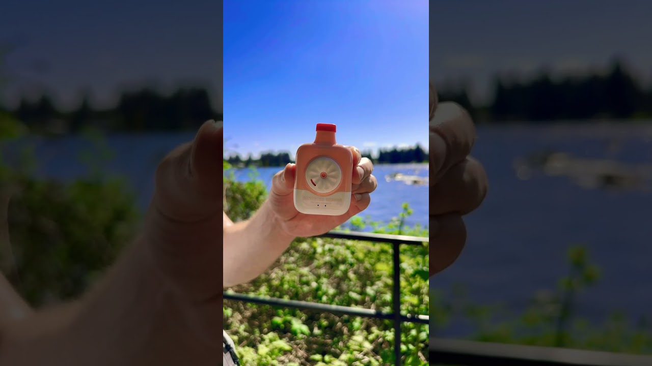 NEW Binaries SE6000 Disposable Vape