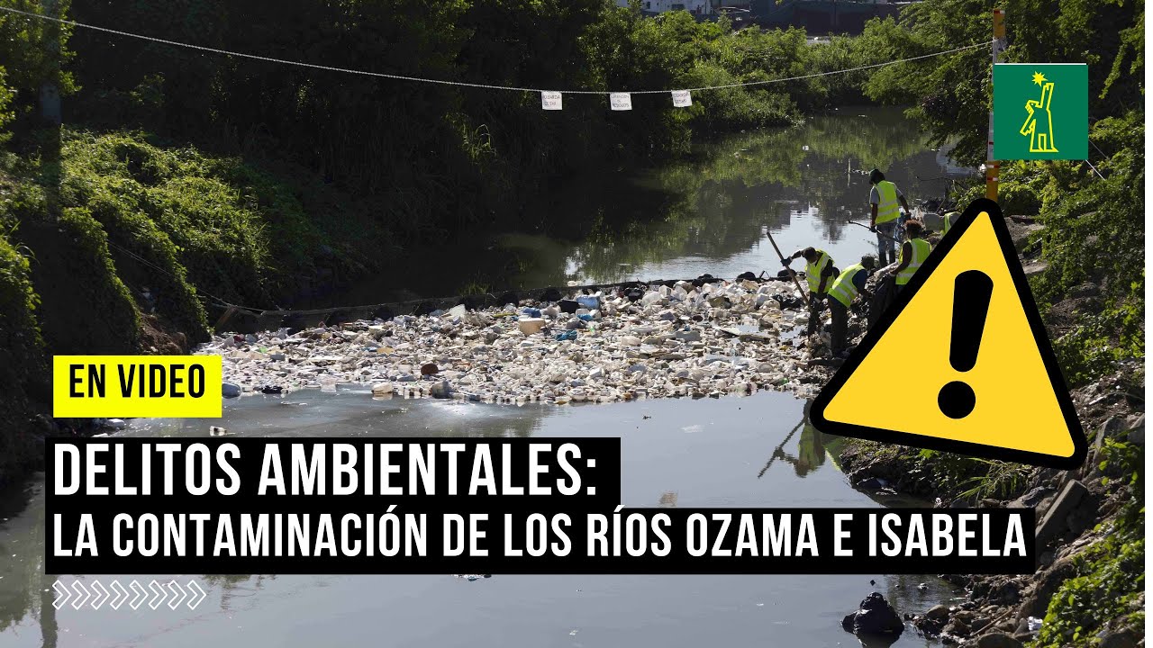 #videoDL;   Delitos ambientales: la #contaminación de los #ríosOzama e Isabela #DiarioLibre