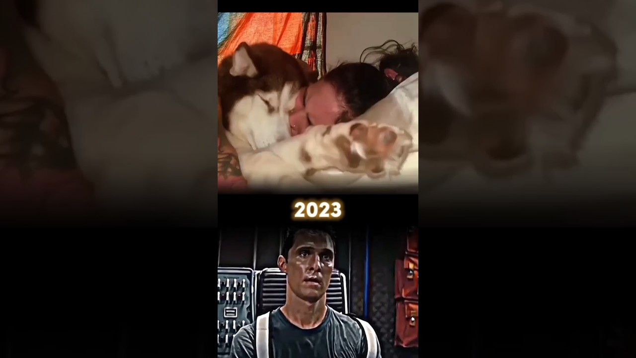 Dog Sad Moments❤️&zwj;🩹 (MISSING YOUR DOG)