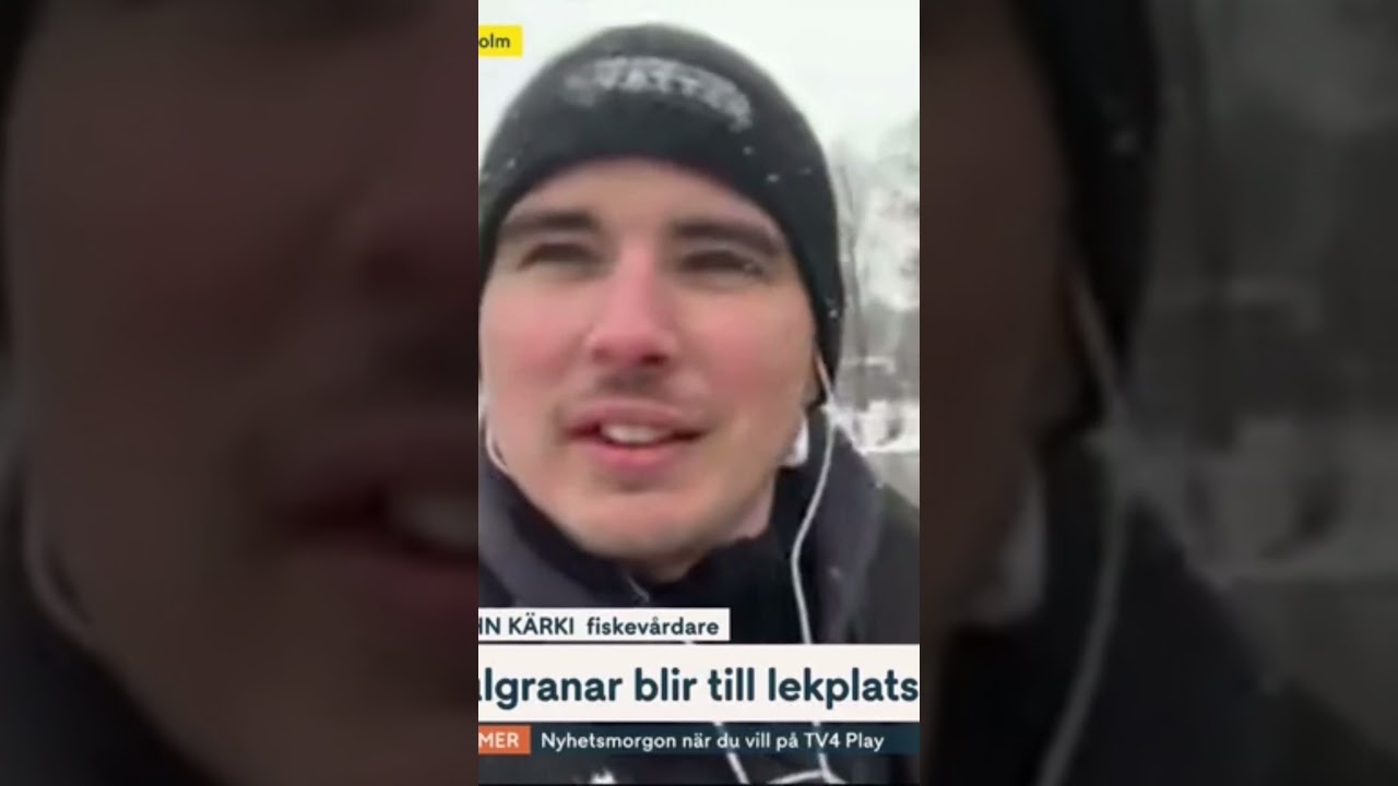 Risvasar har blivit en nationell nyhet